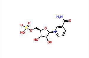 -Nikotinamidmononukleotid NMN CAS 1094-61-7