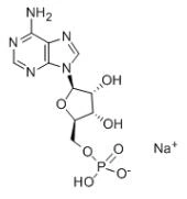Adenosin 5'-monofosfat mononatriumsalt CAS 13474-03-8