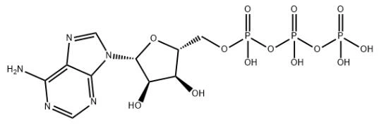 Adenosin 5'-trifosfat CAS 56-65-5